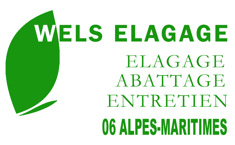 WELS Tony elagage 06